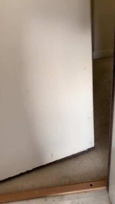 Terry is offended by the cold weather.