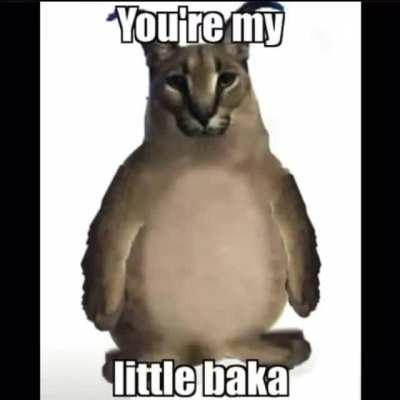 This man spit bars like yo mama spit out kids