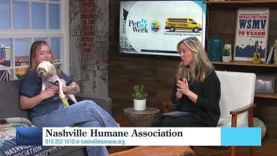 Today In Nashville. WSMV4 TV. April 21st 2026