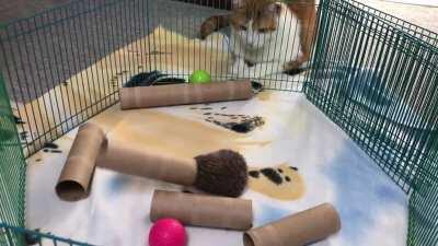 Willow’s first interaction with a tube playground!