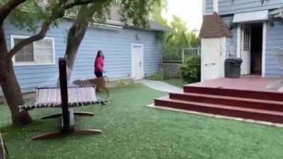 Baby John playing at The Gentle Barn Sanctuary