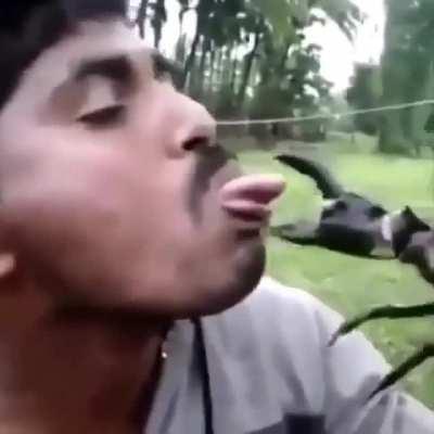 This idiot had it coming