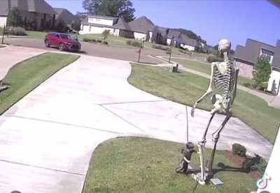 happy halloween to all who celebrate