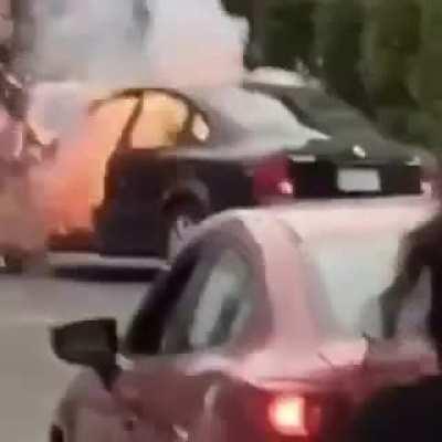 We'll done protester, well done.