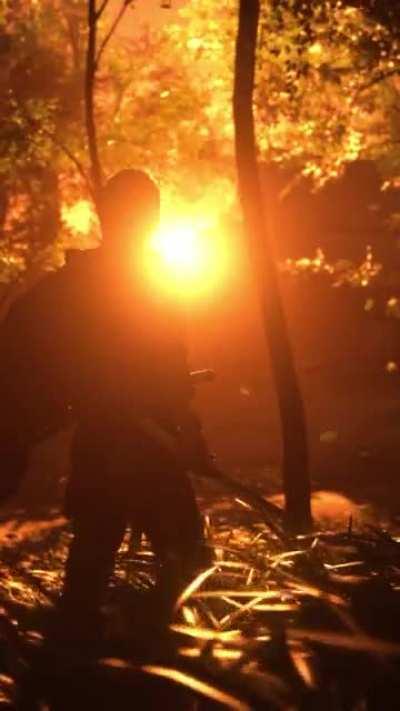 Sunset on Tsushima (new animated lock screen)