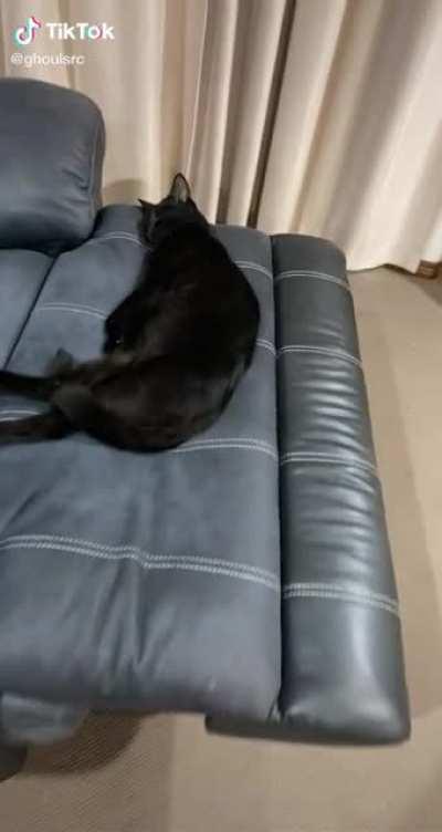 4/9 left (not op @ghoulsrc is on tiktok)