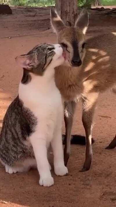 What a patient friend