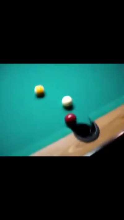 Good boi in training to become professional pool player