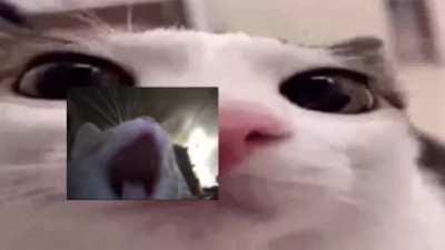 Make me mod I will not improve anything and will probably make it worse ☺️