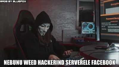 ni ma cine o oprit facebooku,instau si whattsapu