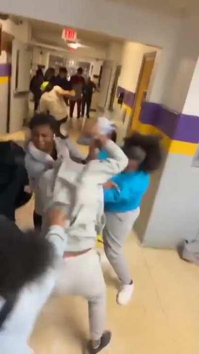 What started the fight. School girls brawl. 🧸