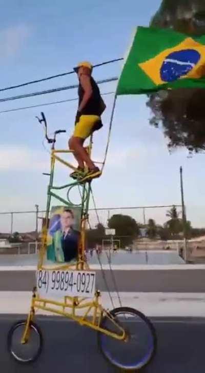Average Bolsonaro Supporter 👇🇧🇷👇