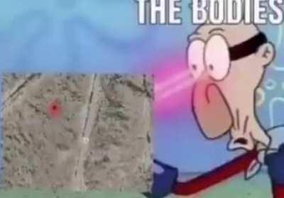 T H E Y A R E R O T T I N G