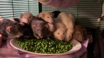 1 minute of happiness