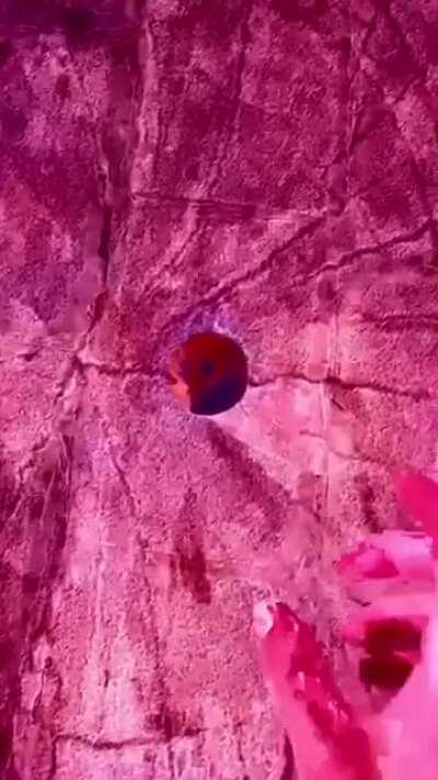 This video is why I have trust issues