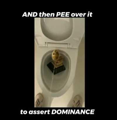 Sigma male mindset🐐💪🏽