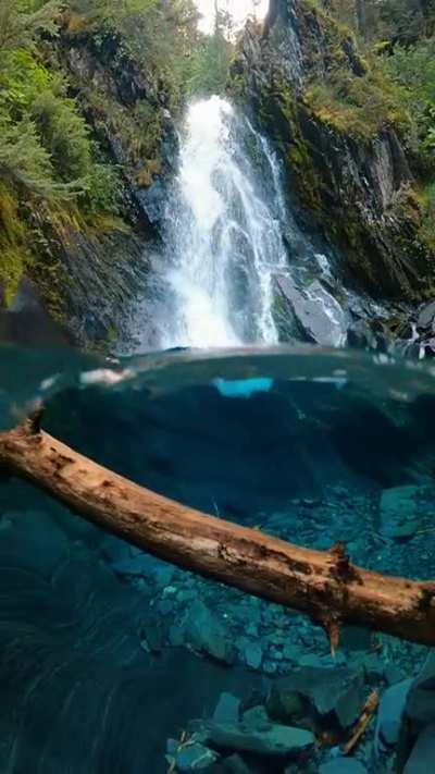 🔥 The Best Water On Earth, Paradise in Alaska