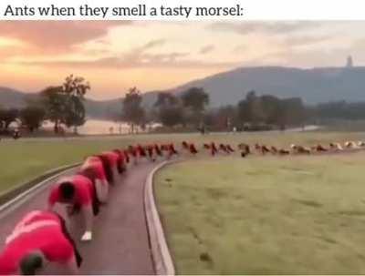 They are traveling. You will die.