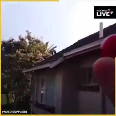 Abrupt chaos tomato (sound up)