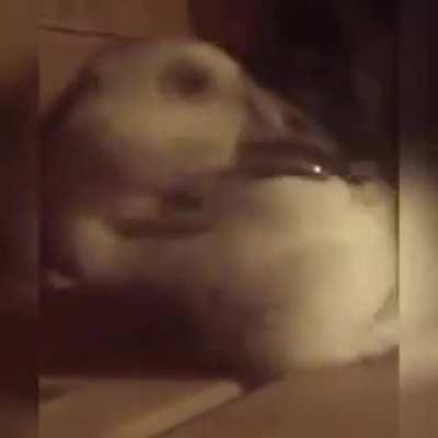 Счастье не в деньгах, завидую