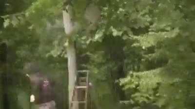 HMB While I stick an M80 in this bees nest