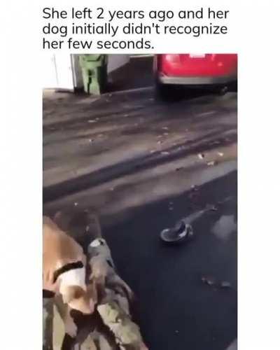 Took him a hot minute to recognise his master