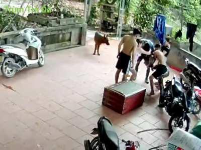 This some Alien shit