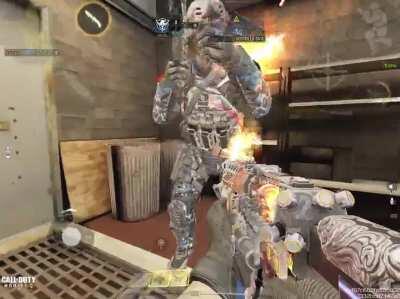 Love this small attention to detail on the new mythic gun, now if only bugs also got this much attention too lol