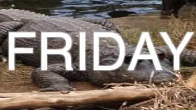 it might be tomorrow but we can celebrate a bit early