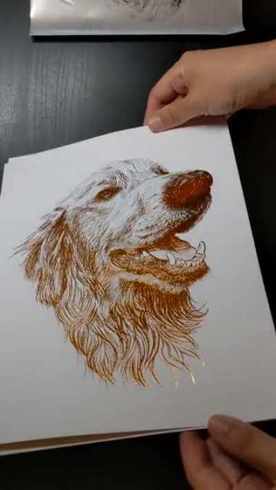Foil reveal of my pet portrait of a Golden Retriever named Ember