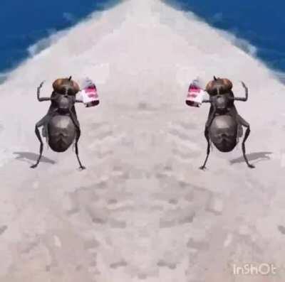 Mike Pence with a fly on his head