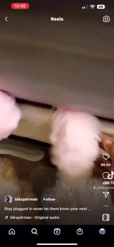 Is that a fucking Mameluke sword