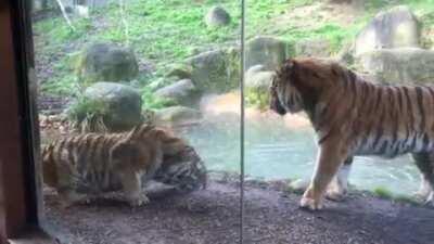 Wife lashes out at husband for waking her