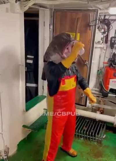 Fish-man the Ficious. Dominator of land and sea