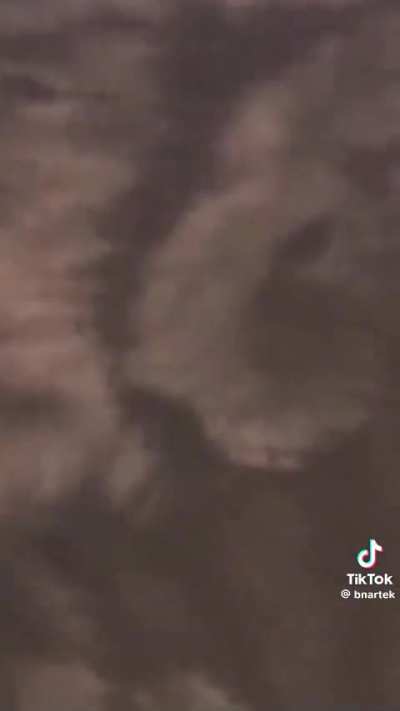 Winged Bober discovered