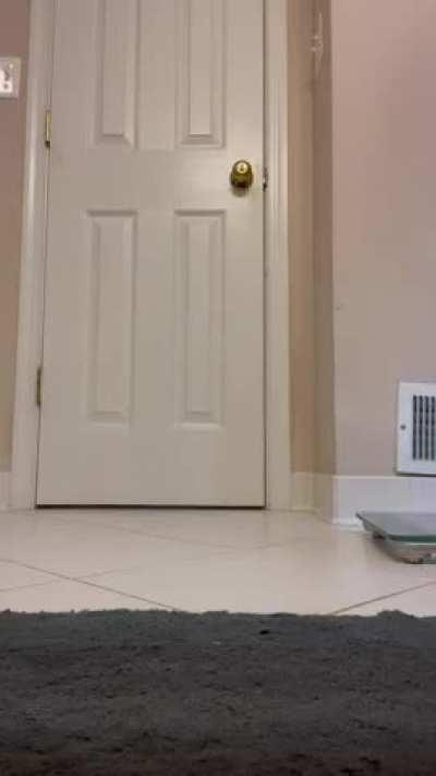 [M] My method for seeing how far to go down