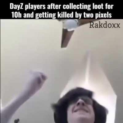 Hope this meme is fine, contains DayZ and other stuff survivors can relate to. OC