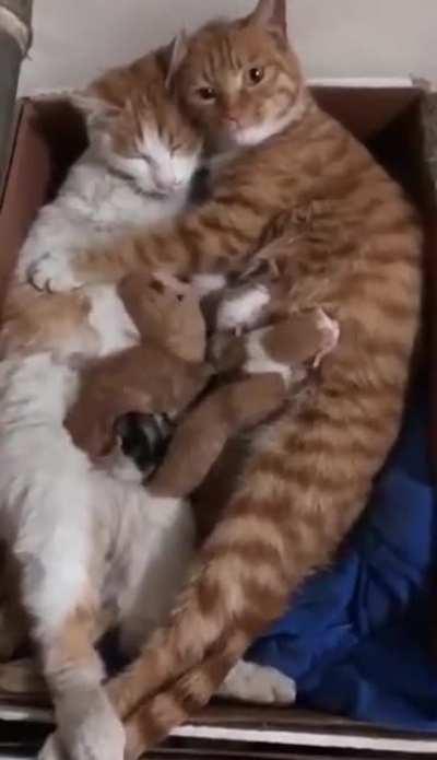 Spending quality time with wife.