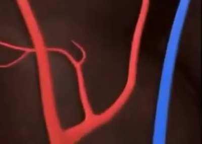 Probs got posted here before but you all know who I am