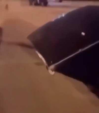 Moldy…Man i dont even know a fitting title