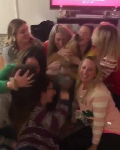 dOg bItEs fAcEs oF BeAuTiFuL WoMeN WhO ArE AtTaCkInG HiM As hE Is dEsPeRaTe tO EsCaPe