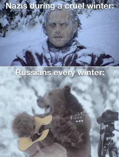 They weren't expecting singing bears