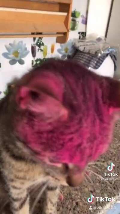 Now I look beautiful like mom