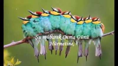 Babaanneme cuma mesajı hazırladım