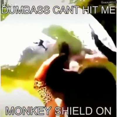 Anti-Peruvians shield