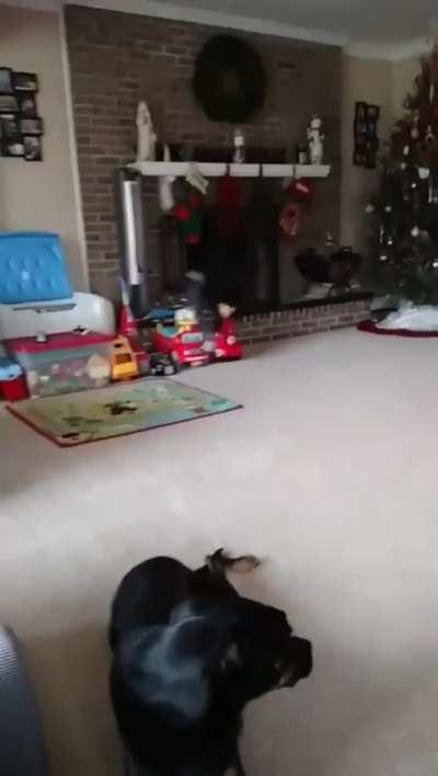 Who turned the lights out?