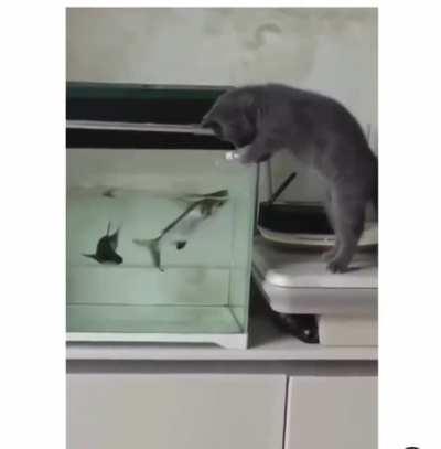 получай пушистый ублюдок