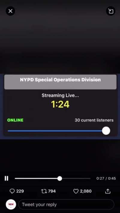 Aliens coming to the Bronx New York