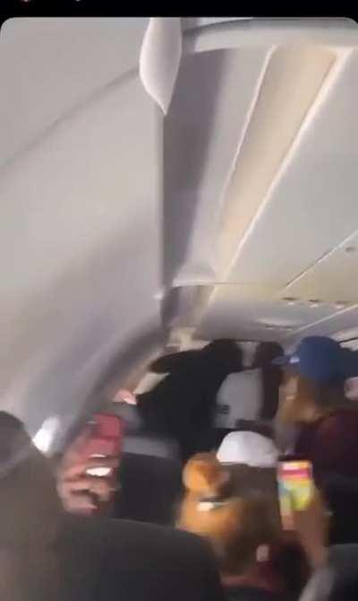 People beating the shit out of each other on a plane
