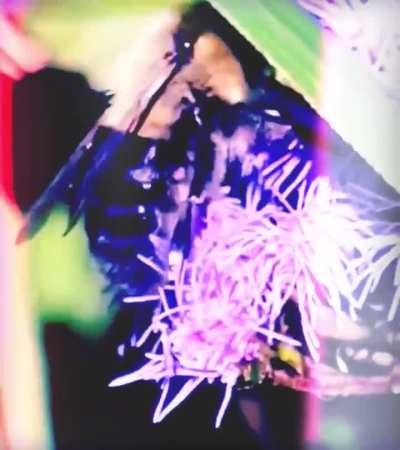 Carpenter bee on mist flowers